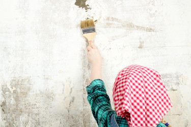 Similar image 11051288