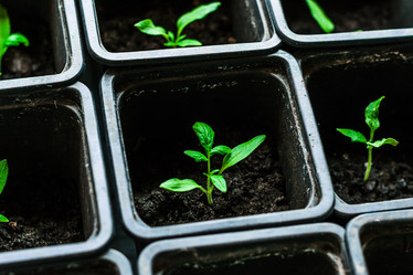 Similar image 10983145