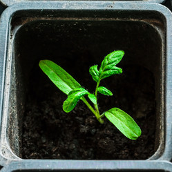 Similar image 10983146