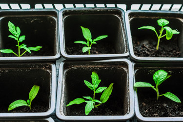 Similar image 10983148