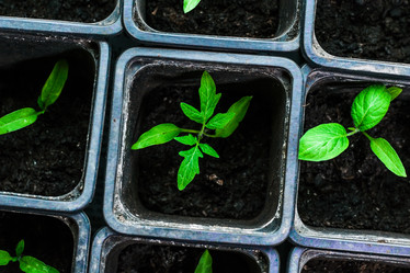 Similar image 10983150