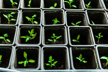 Similar image 10983154