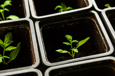 Similar image 10983155