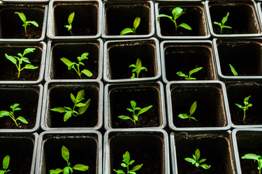 Similar image 10983157