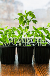 Similar image 10983158