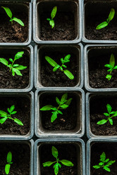 Similar image 10983160