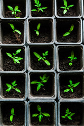 Similar image 10983161