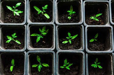 Similar image 10983163