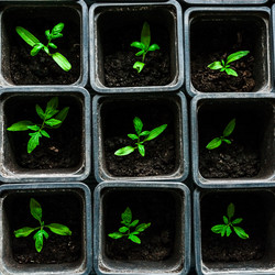 Similar image 10983164