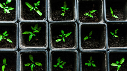 Similar image 10983312