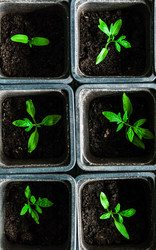 Similar image 10983313