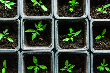 Similar image 10983315