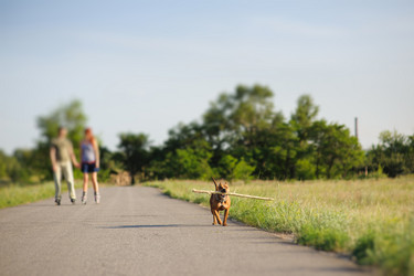 Similar image 10982906