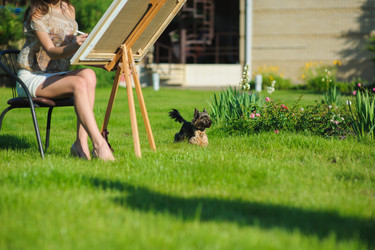 Similar image 10983070