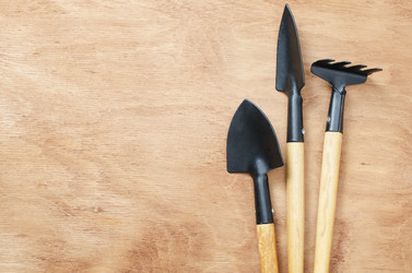 Similar image 10989380