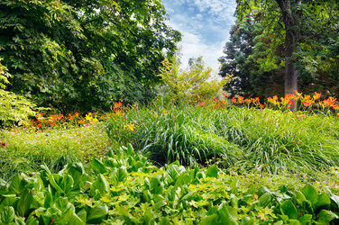 Similar image 11043949