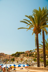 Similar image 11046599