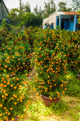 Similar image 11046737