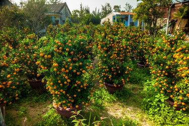 Similar image 11046738