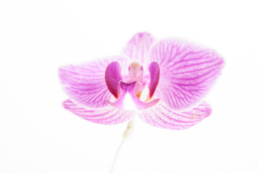 Similar image 11046757