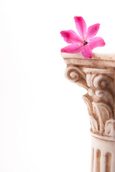 Similar image 11046777