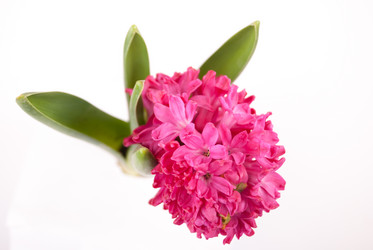 Similar image 11046778