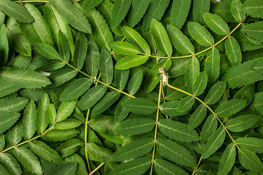 Similar image 10989493