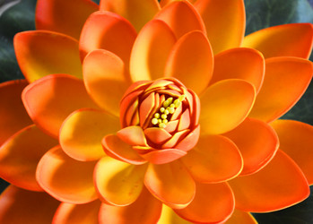 Similar image 11044027