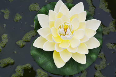 Similar image 11044028