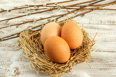 Similar image 11043981