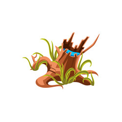 Similar image 11369905