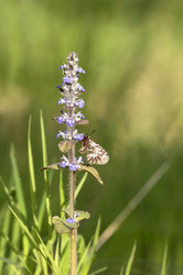 Similar image 11136480