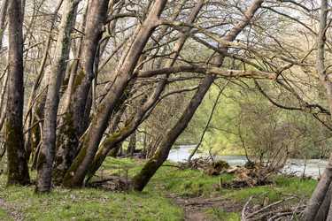 Similar image 11136481