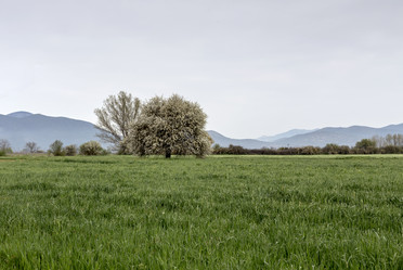 Similar image 11136483