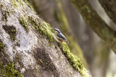 Similar image 11136485