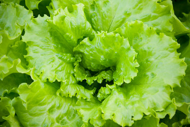 Similar image 11043897