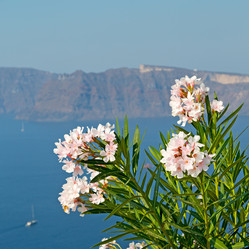 Similar image 11321847