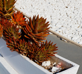 Similar image 11321883