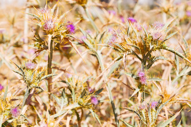 Similar image 11321888