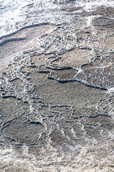 Similar image 11312149