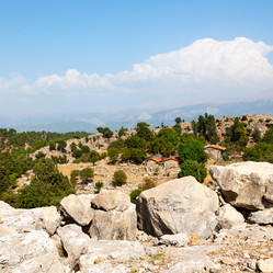 Similar image 11311173