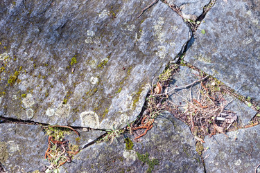 Similar image 11044034