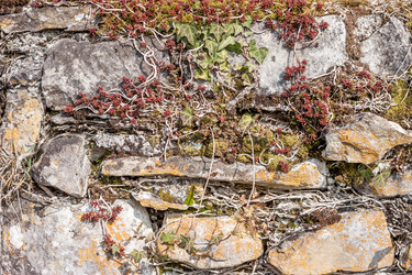 Similar image 11044035