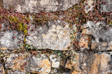 Similar image 11044036