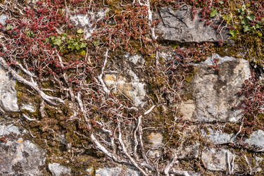 Similar image 11044037