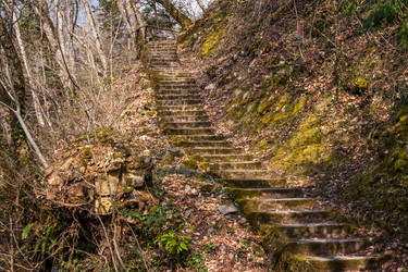 Similar image 11044041