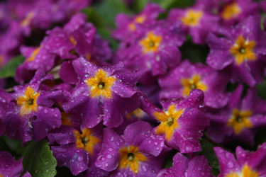 Similar image 11051467