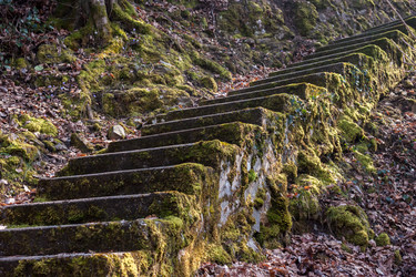 Similar image 11044043