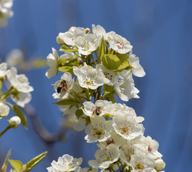 Similar image 11331797