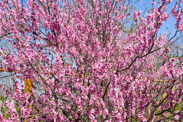 Similar image 11331800